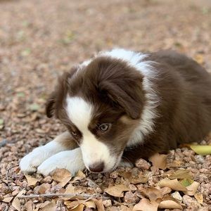 Meet your Posher, Renee